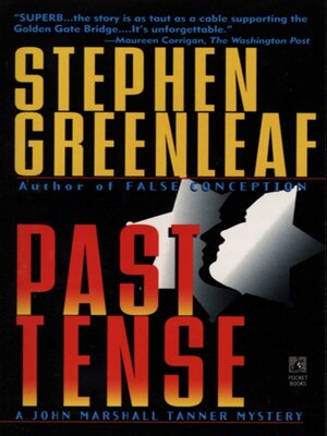 cover image of Past Tense